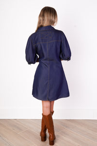 Ellis Denim Dress