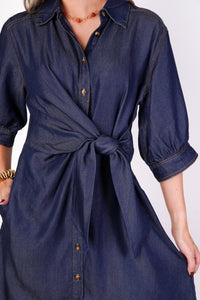 Ellis Denim Dress