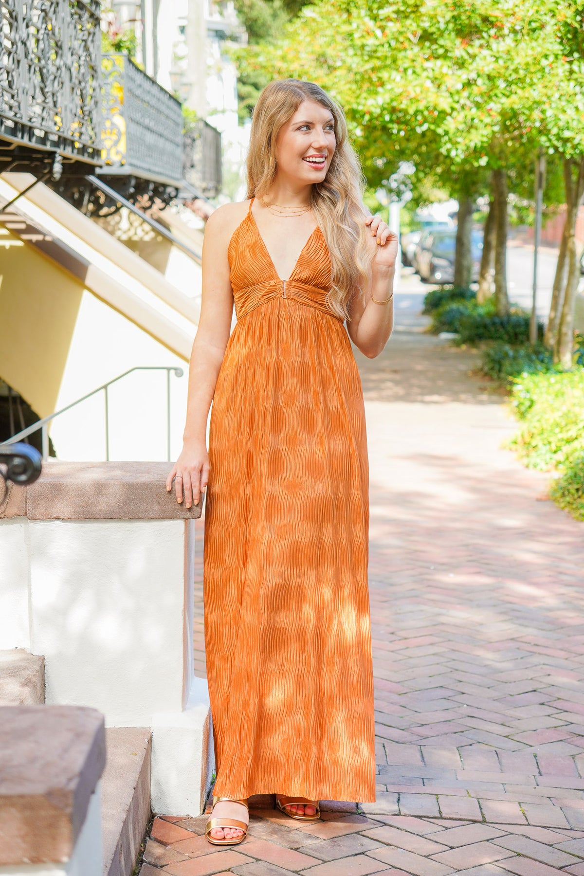 Finer Things Bronze Maxi Dress