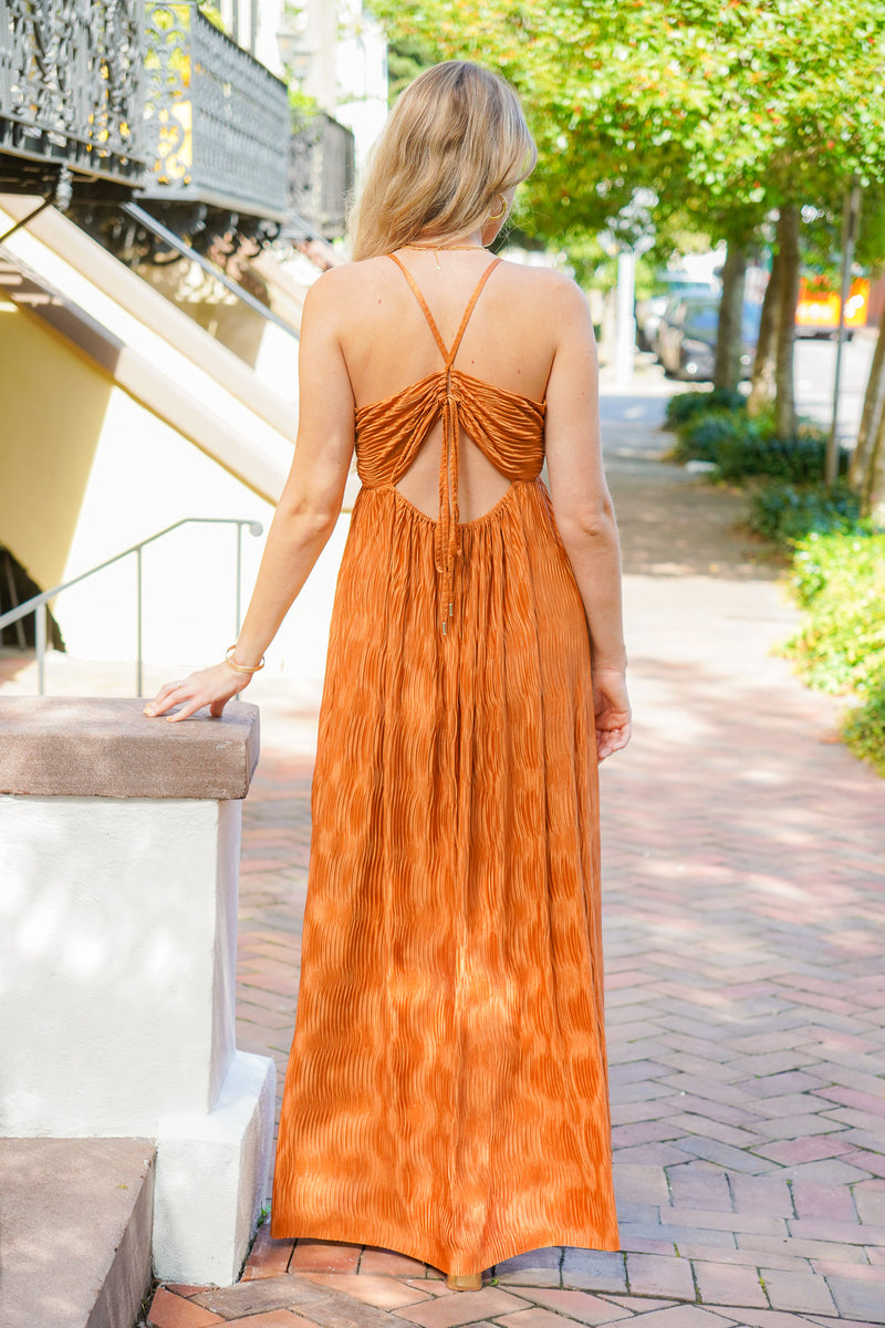 Finer Things Bronze Maxi Dress